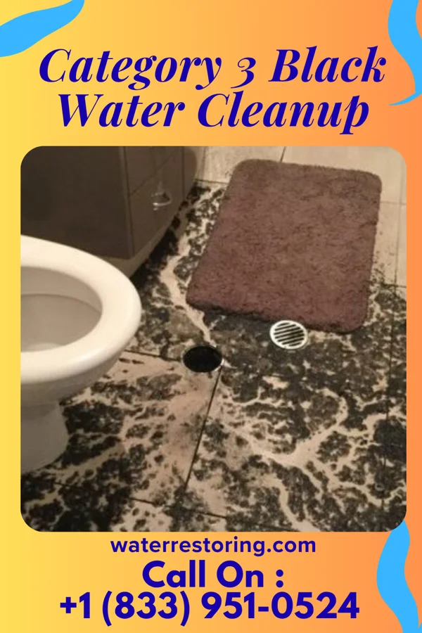 Category 3 Black Water Cleanup in Millington, IL