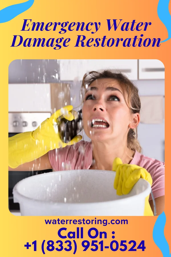 Emergency Water Damage Restoration in Millington, IL