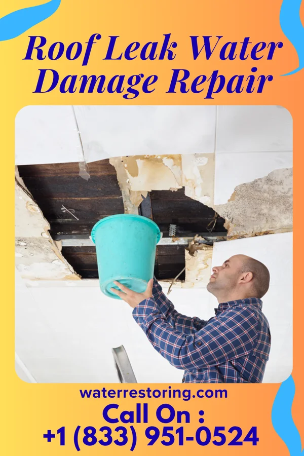 Roof Leak Water Damage Repair in Millington, IL